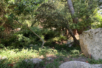 achat terrain porto-vecchio 20137