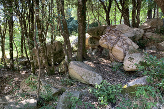 achat terrain porto-vecchio 20137