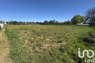 achat terrain pouille 85570