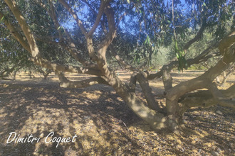 achat terrain pouzolles 34480