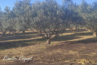 achat terrain pouzolles 34480