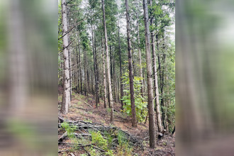 achat terrain premian 34390