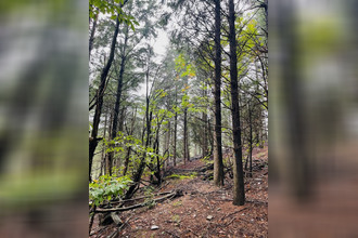 achat terrain premian 34390