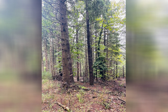 achat terrain premian 34390