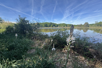 achat terrain prissac 36370