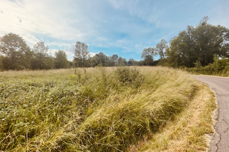 achat terrain provency 89200