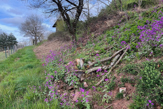 achat terrain pruines 12320