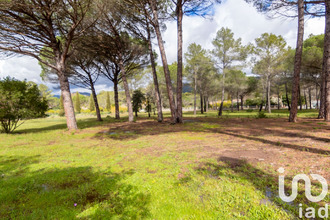 achat terrain puget-sur-argens 83480