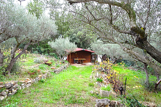 achat terrain puget-ville 83390