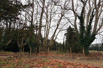 achat terrain pujaut 30131