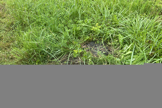 achat terrain puttelange-aux-lacs 57510