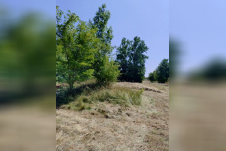 achat terrain querenaing 59269