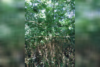 achat terrain querenaing 59269