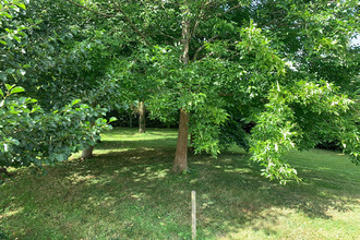 achat terrain radon 61250