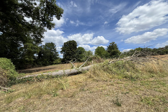 achat terrain razac-sur-l-isle 24430