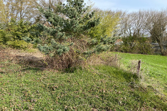 achat terrain recquignies 59245