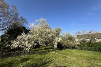 achat terrain reichstett 67116