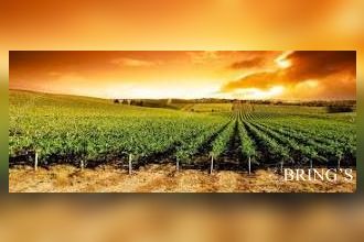 achat terrain restigne 37140