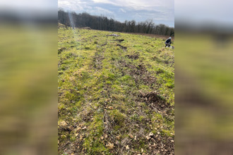 achat terrain reugny 37380