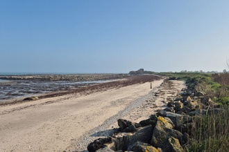 achat terrain reville 50760