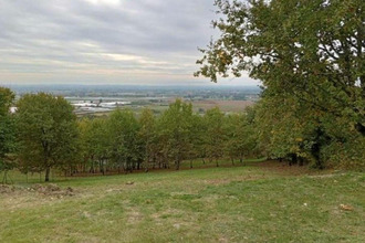 achat terrain reynies 82370