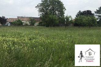 achat terrain rhinau 67860