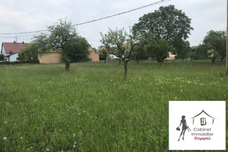 achat terrain rhinau 67860