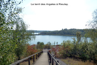 achat terrain rieulay 59870