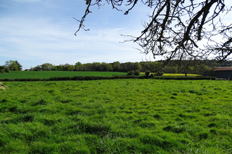 achat terrain rieux 56350