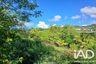 achat terrain riviere-pilote 97211