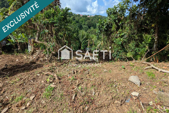 achat terrain riviere-salee 97215