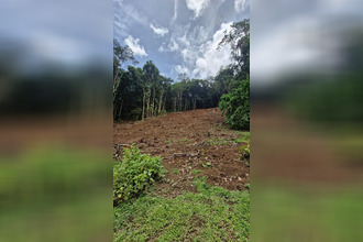 achat terrain riviere-salee 97215