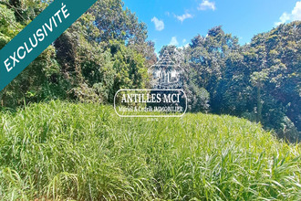 achat terrain riviere-salee 97215