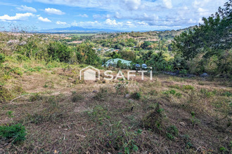 achat terrain riviere-salee 97215