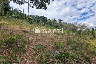 achat terrain riviere-salee 97215