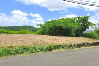 achat terrain riviere-salee 97215