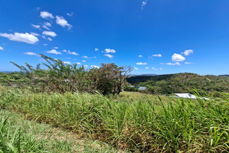 achat terrain riviere-salee 97215