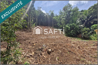 achat terrain riviere-salee 97215