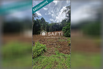 achat terrain riviere-salee 97215