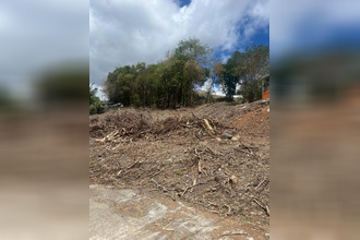 achat terrain riviere-salee 97215
