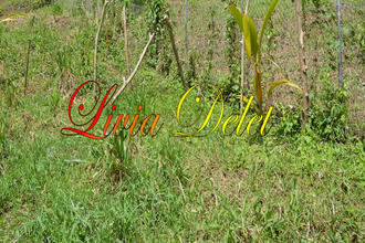 achat terrain robert 97231