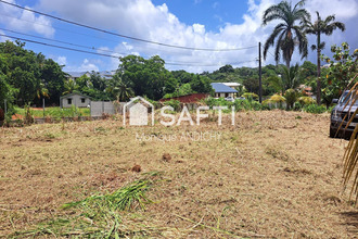 achat terrain robert 97231