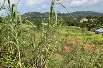 achat terrain robert 97231