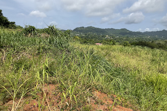 achat terrain robert 97231