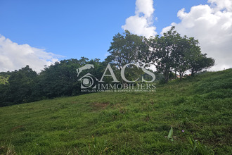 achat terrain robert 97231