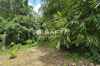 achat terrain robert 97231