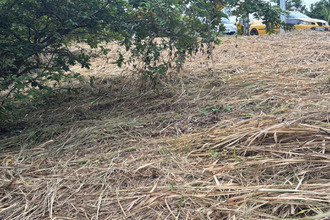achat terrain robert 97231