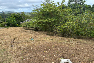 achat terrain robert 97231