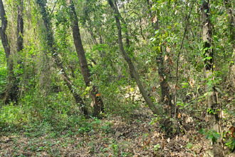 achat terrain roquefort-les-pins 06330