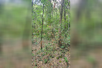 achat terrain roquefort-les-pins 06330